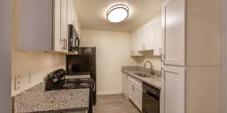 Elan Scripps Terrace Gallery 13