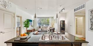 Andante at Nine Mile Station Gallery 16