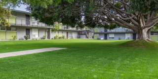 7141 N 16th Street unit: 234 Gallery 1