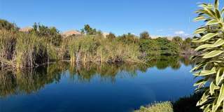 1801 AUBURN LAKES CIRCLE Gallery 25