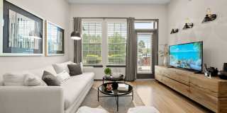 The Grace at Tyron Gallery 15