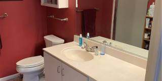 403  Settlement Dr Gallery 10