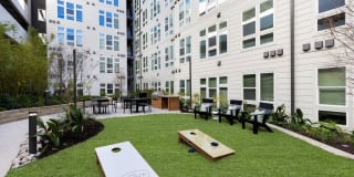 Korina and Alder at The Grove Korina and Alder at The Grove Gallery 43