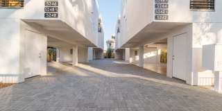 Cleon Ave Gallery 3