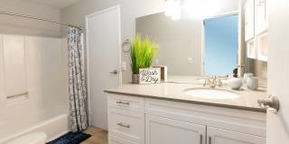 Brighton Place Gallery 10