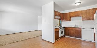 Don Quixote Gallery 11