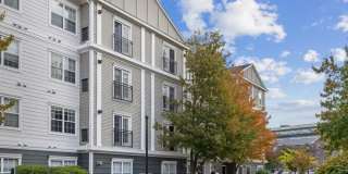 Sofi at Salem Station Gallery 47