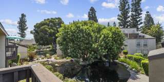 The Lake Gallery 136