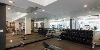 The Fenley Gallery 27