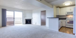 Park West Gallery 8