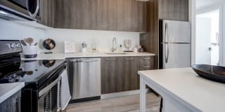 Alea Miami Gallery 10