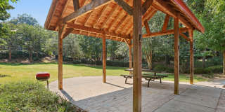 Canopy Glen Gallery 45