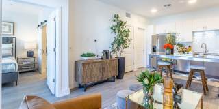 The Isabella Gallery 4