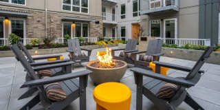 Alexan Main Street Gallery 68