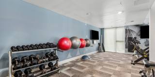 The Briscoe The Briscoe Gallery 32