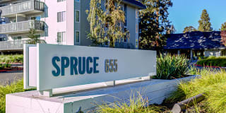 Spruce Apartments Gallery 21