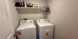 7323 Perseus Brook Gallery 24