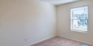 231 Socket Street - 1 Gallery 22