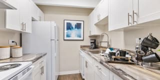 Mosaic Mosaic Gallery 1