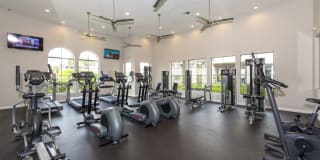 Montelago Gallery 40