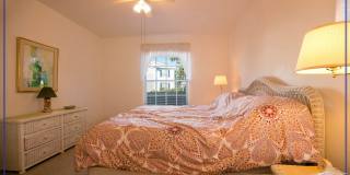 PELICAN BAY - BARRINGTON CLUB - AWESOME AMENITIES - BEACH ACCESS - FURNISHED- NEW RENOVATIONS- Gallery 11