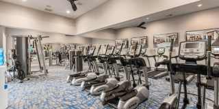 Berkley House Gallery 14