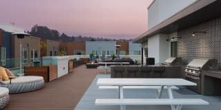 Avalon Dogpatch Gallery 33