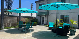 Woodland Gallery 16