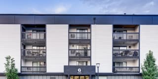 Sage at Panorama Gallery 21