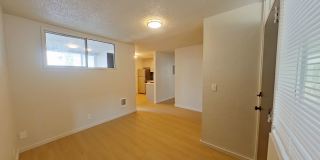 University Manor - Newly Renovated Units just a short walk from Campus! Gallery 15
