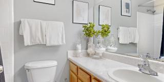 The Columns at Lake Ridge Gallery 8