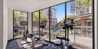 Eleanor Eleanor Gallery 35