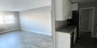 Fully Renovated Modern Apartments Gallery 11
