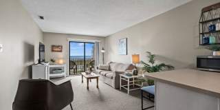 Close to the beach Gallery 19