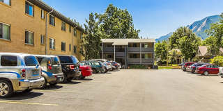 701 (384) Gallery 22