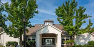 Preston Hollow Gallery 1