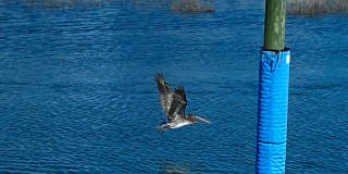 IN BEAUTIFUL SANDPIPER BAY! Gallery 30