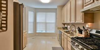 5807 IVY LEAGUE Gallery 13