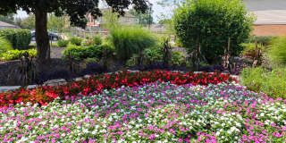 Rosebrook Village Gallery 21