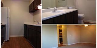 Indian Hills Gallery 1