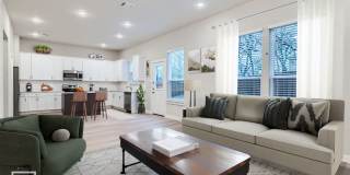 HAMILTON PLAN Gallery 1