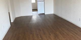 225 Gibson A Gallery 12