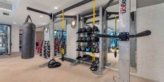 Alta Purl Gallery 35