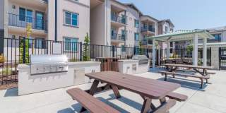 Arrive Suisun Gallery 23