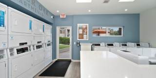 Silver Oak Gallery 25