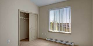 The Vintage Gallery 3