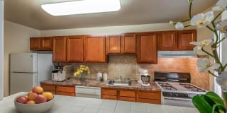 Aquahart Manor Apartments Gallery 8