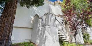 1173 Capri Drive Gallery 24