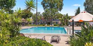 10172 Ascot Gallery 22