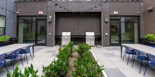 Adara at Seatac Gallery 17